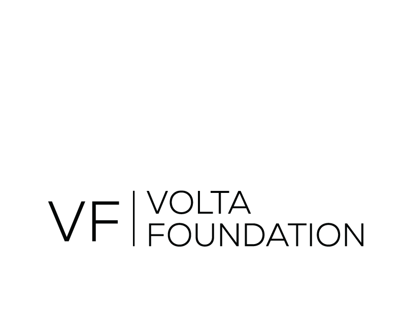 Volta Foundation logo